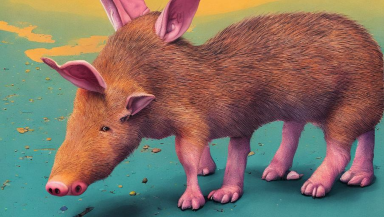 Aardvark Conservation Efforts Around the World