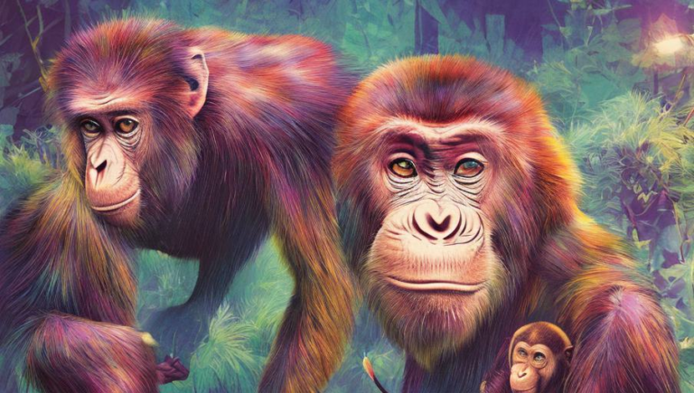 Gorillas: A Closer Look