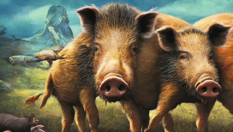 Getting to Know the Wild Boar