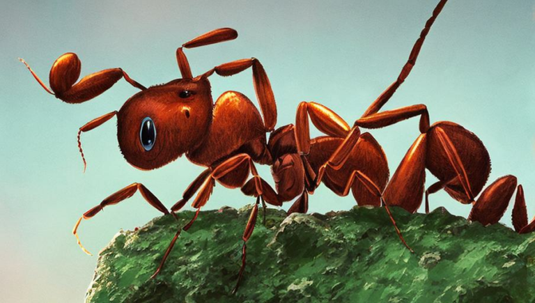 On the Menu: What Do Ants Eat?