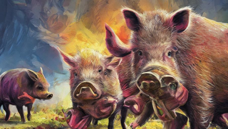 Quiet Ways to Interact with Boars